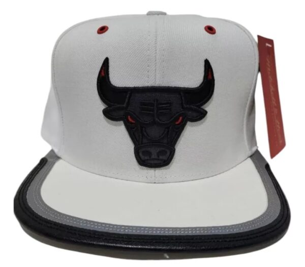 gorra Chicago bulls day one