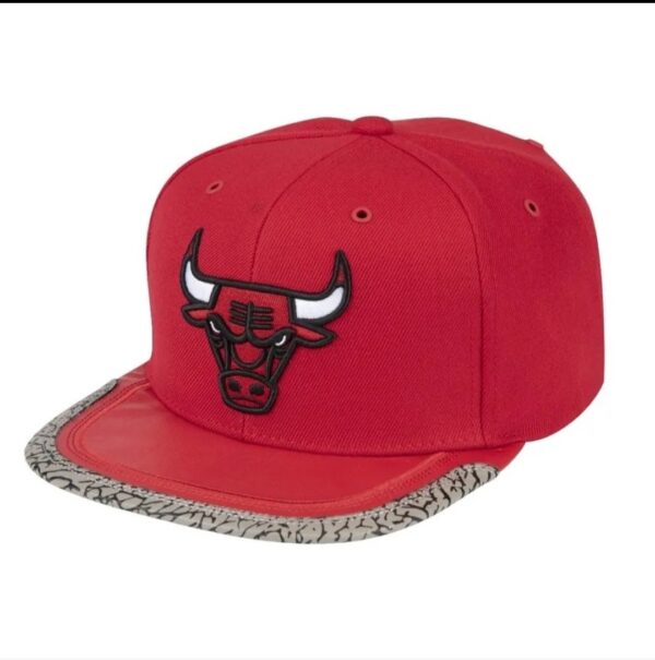 gorra Chicago bulls day one
