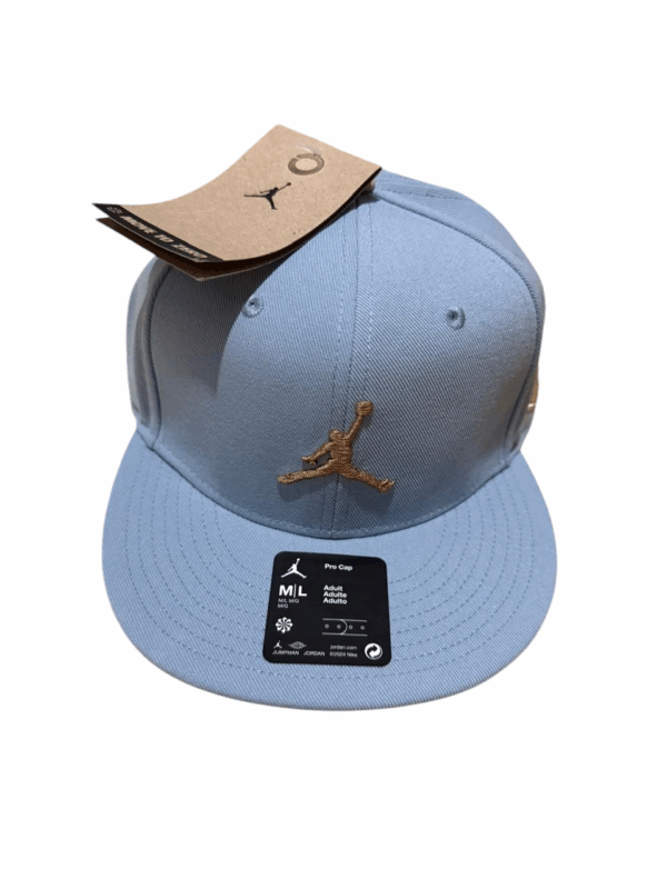 gorra jordan