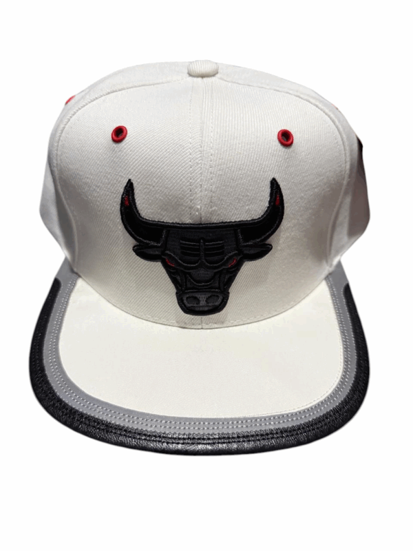 gorra Chicago bulls day one - Imagen 2